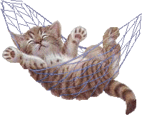 swinging cat