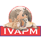  International Veterinary Academy of Pain Management
