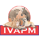 IVAPM